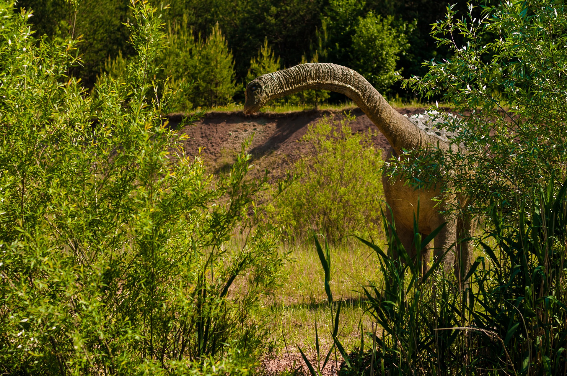 Archelon