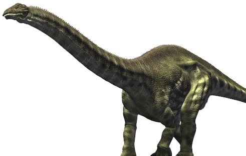 Brontosaurus Transparent