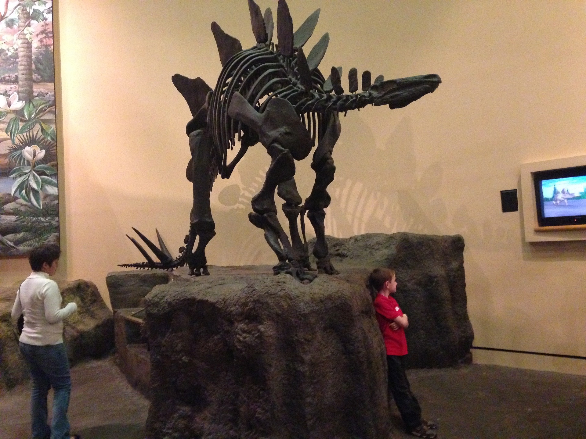 Archelon