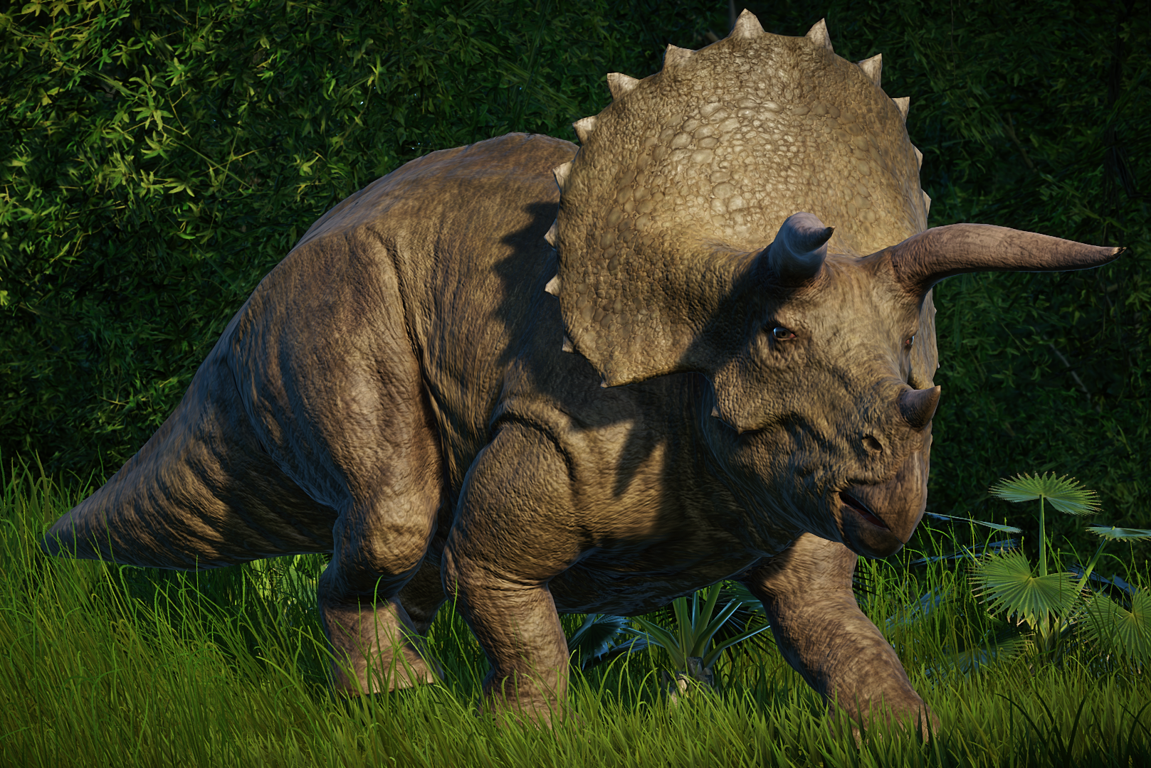 Tan Triceratops